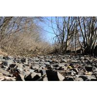 1066_2031 Schotter im ehem. Gleisbett der Hafenbahn an der Grossen Elbstrasse. | Grosse Elbstrasse - Bilder vom Altonaer Hafenrand.